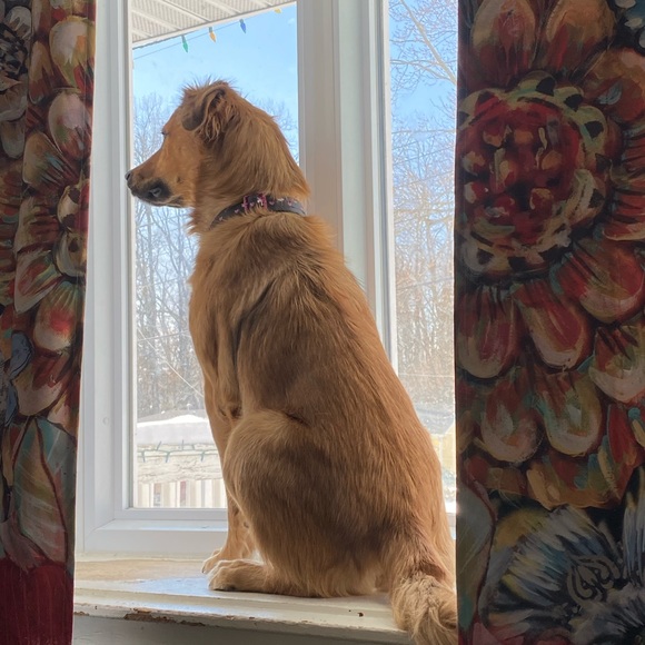 Meet your Posher, Sara - Picture 3 of 11